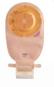 イーキンドット ドレナブル コンベックスマキシ 透明 フリーカット 15-60mm